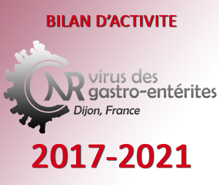 Bilan d'activité 2017-2021