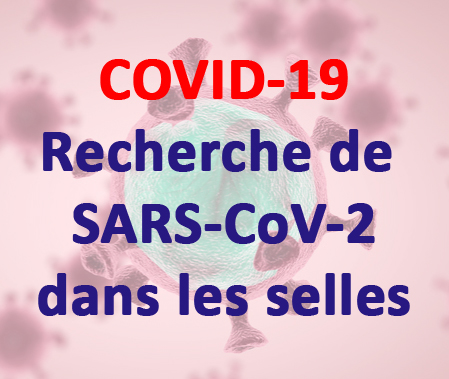 Recherche de SARS-CoV-2 dans les selles