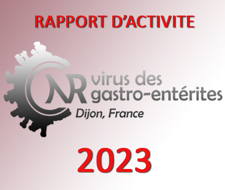 Rapport d'activité 2023