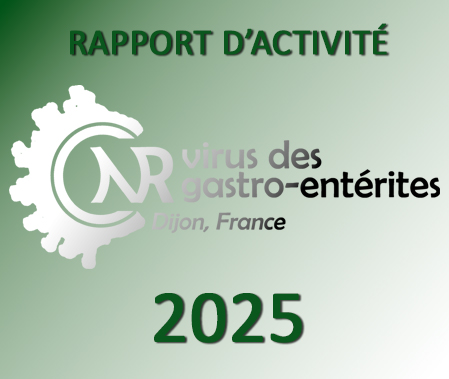 Rapport d'activité 2025